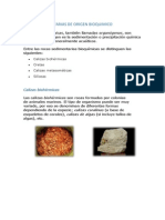 Rocas Sedimentarias de Origen Bioquimico