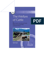 The Welfare of Cattle PDF