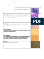 Histology Stains