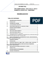 Resumen EjecutivoVH-IV