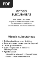 MicosisSubcutáneas2013 PDF