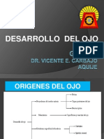 Desarrollo Embriológico Del Ojo