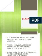 PLASMALEMA