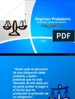 Regimen Probatorio