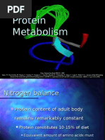 Lecture Presentation - Protein Metabolism