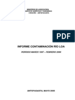 Informe SAG Contaminación Río Loa 1997-2000 - Hugo Román PDF