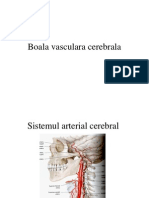 Boala Vasculara Cerebrala