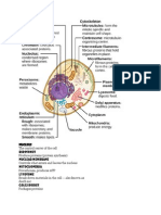 Nucleus