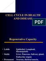 Cell Cycle in Health and Disease