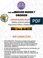 04inflamacion Aguda y Cronica