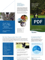 VetStem Small Animal Owner Brochure