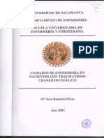 Cuidados de Enfermeria en Pacientes Con Traumatismo Craneoencefalico