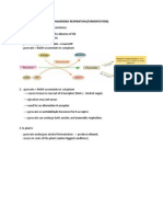 Anaerobic Respiration Notes