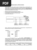 Diferencia Entre Un Microprocesador y Un Microcontrolador