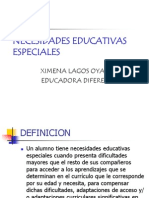 Necesidades Educativas