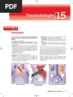 BSP 200.2 15 Traumatologie PDF