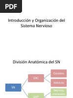 Introducción y Organización Del Sistema Nervioso