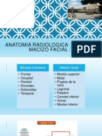 ANATOMIA RADIOLOGICA Macizo Facial