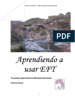 Aprendiendo A Usar EFT - Patricia Romer