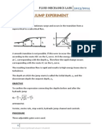 Hydraulic Jump Experiment