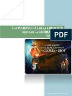 Transcripción Del Vídeo Las Maravillas de La Creación Revelan La Gloria de Dios