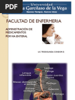 Via Enteral PDF