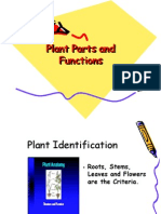 Plant Parts and Functions