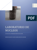 Laboratorio de Nucleos n2