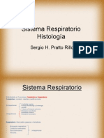 Sistema Respiratorio