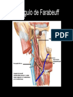 Triángulo de Farabeuff