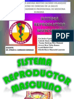 Sistema Reproductor Masculino Editado