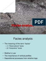 Facies Analysis