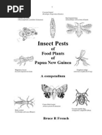 3insects On Food Plants in PNG