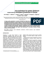 Use of Aeroponics Technique For Potato (Solanum Tuberosum) Minitubers Production in Kenya