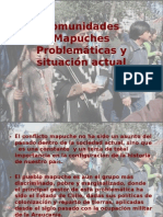 Comunidades Mapuches, Problemáticas y Situación Actual