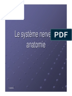 Anatomie Systeme Nerveux