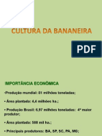 AULA 1 BANANA Introd Morfologia