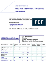 Inf - Strept. Erizipel Celulita Fasceita