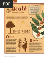 64 65RC424 Infografia Cafe1