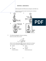 Section A / Bahagian A: 1 Which of The Following Plants Will Still Be Alive and Grow Well After Two Weeks?