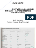 CRP 101 Lecture No. 13