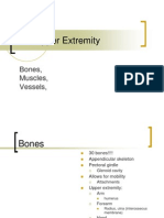 NP Upper Extremity Grays