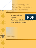 Anatomy, Physiology and Pathology of The Respiratory