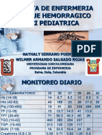 Dengue Hemorragico