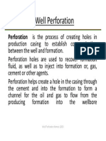 Well Perforation PDF