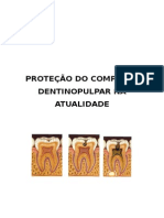 Protecao Do Complexo Dentino Pulpar Resumo