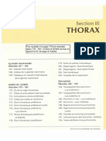 Anatomie - Netter III - Thorax PDF