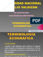 Terminologia Ecografica