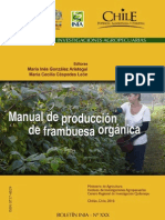 Manual de Produccion Frambuesa Organica