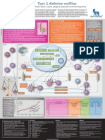 Type 1 Diabetes Mellitus POSTER